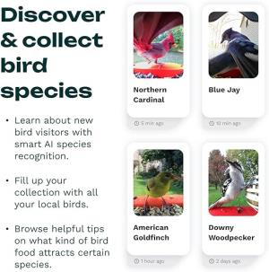 Image of Birdbuddy Original Smart Bird Feeder